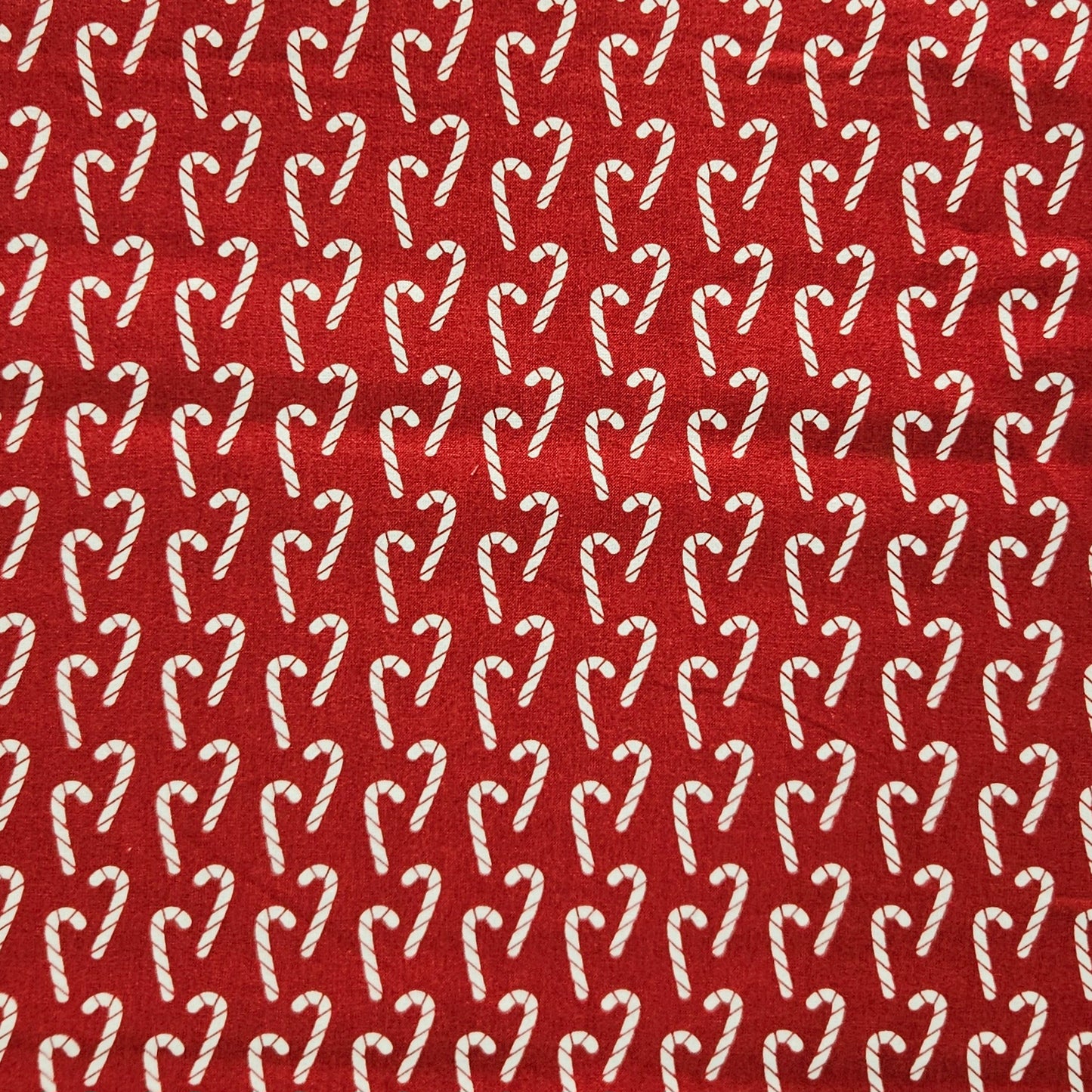 Christmas Joy - Candy Cane