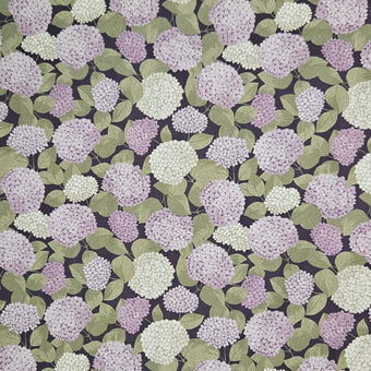 compare product Dawn Melody - Small Hydrangeas on Purple