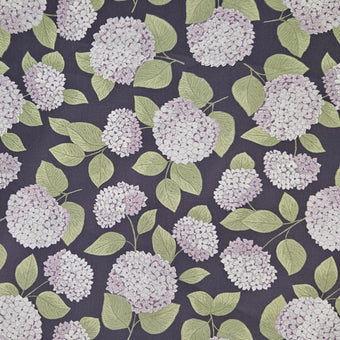 compare product Dawn Melody - Hydrangeas on Purple