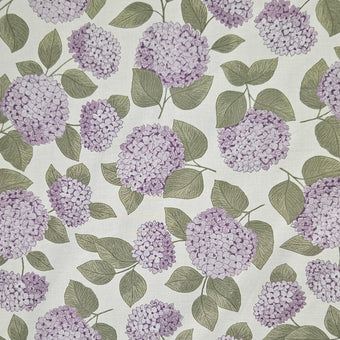 compare product Dawn Melody - Hydrangeas on White
