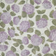 Dawn Melody - Hydrangeas on White