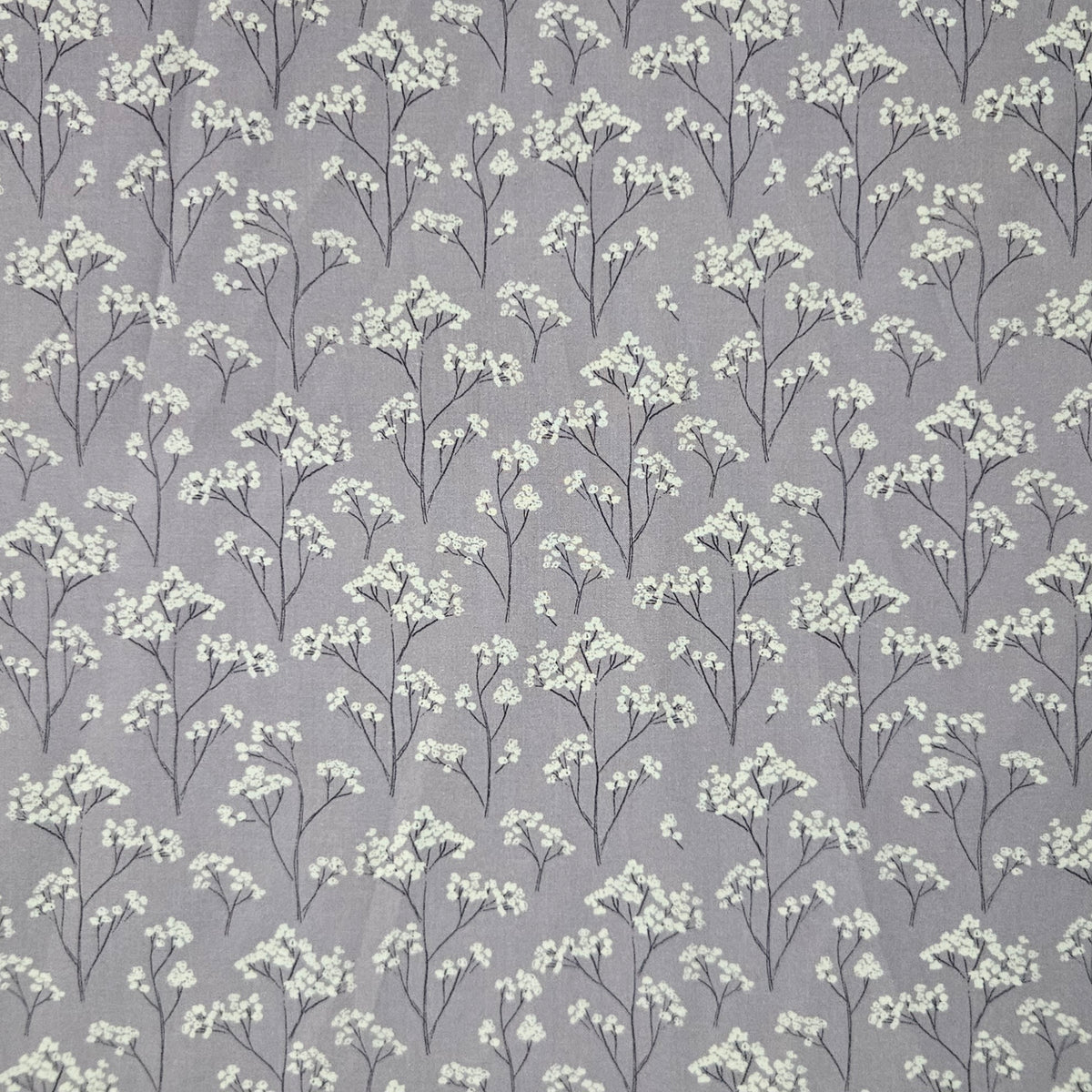 Dawn Melody - Buds on Purple