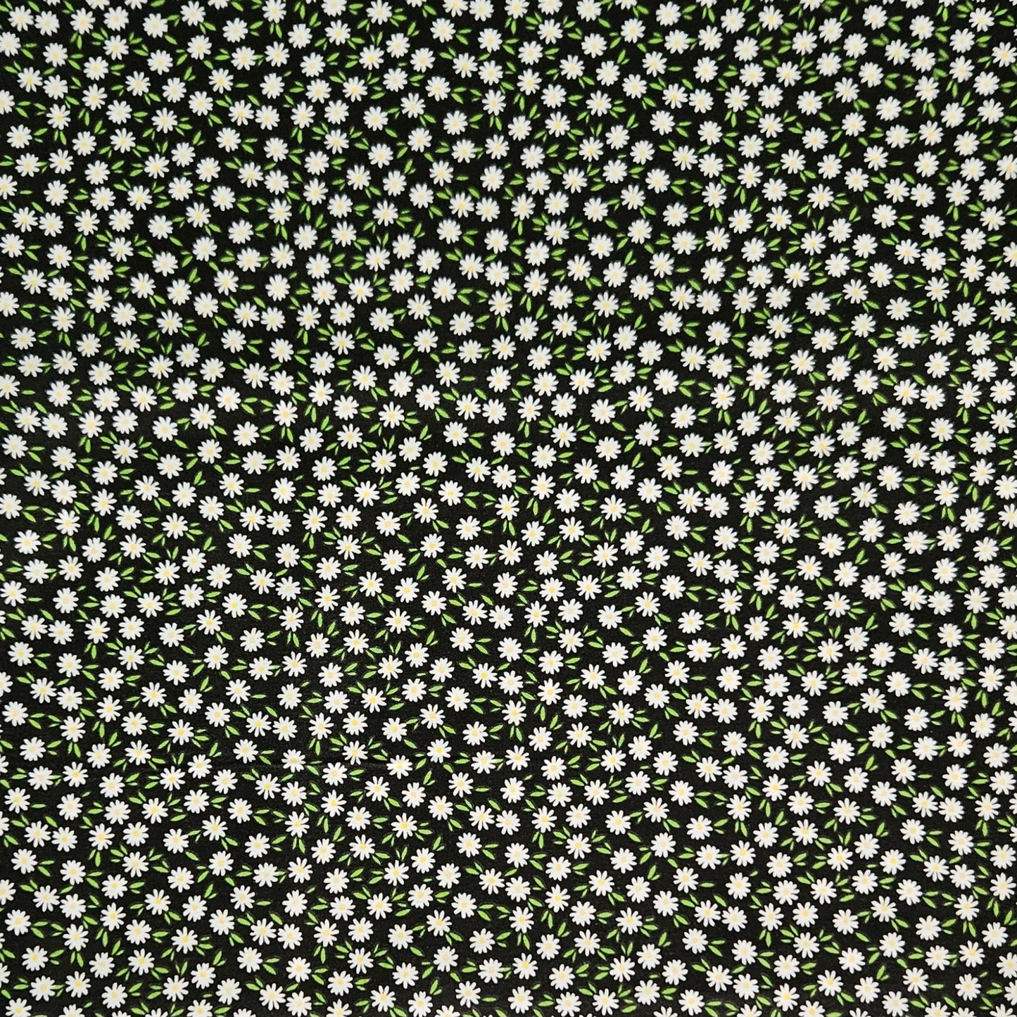 Ditsy Daisy - Black