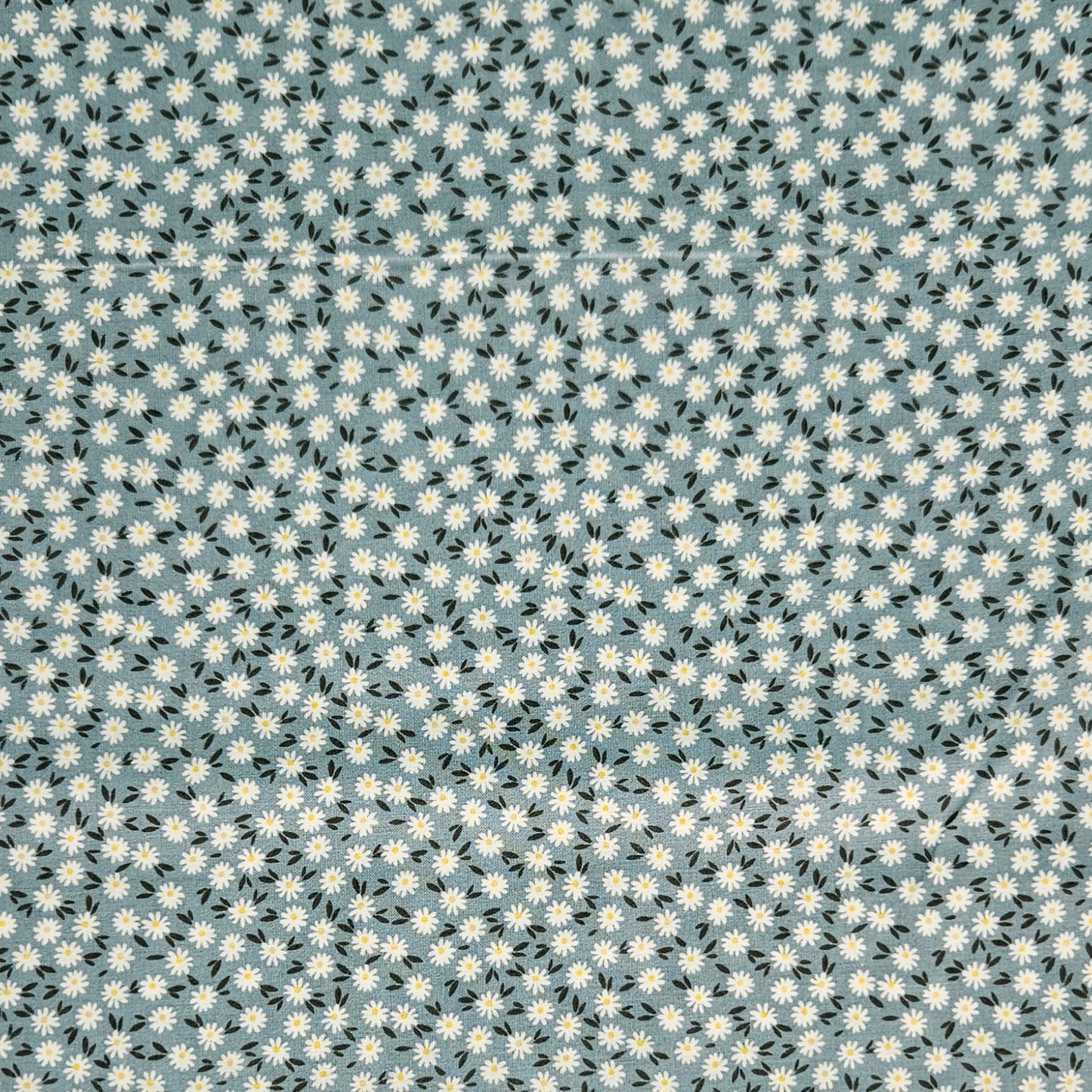 Ditsy Daisy - Blue