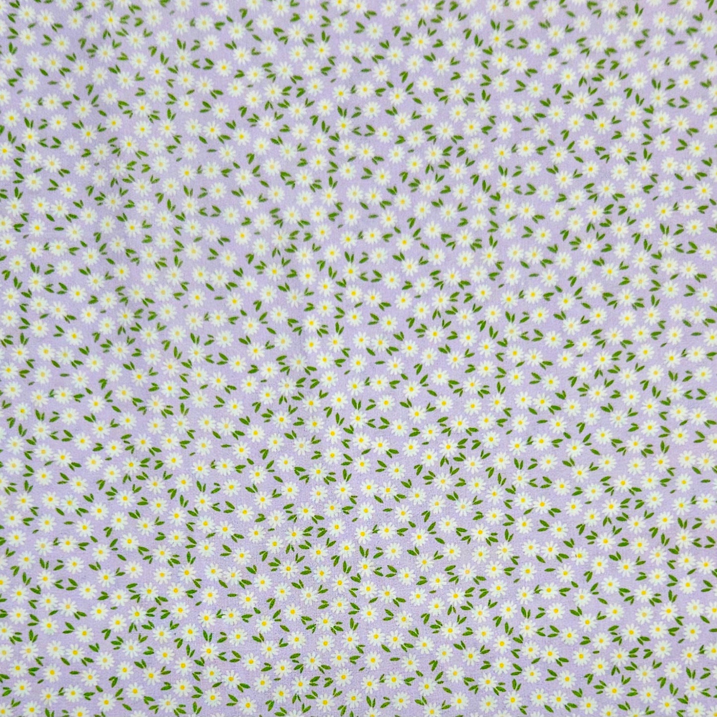 Ditsy Daisy - Lilac