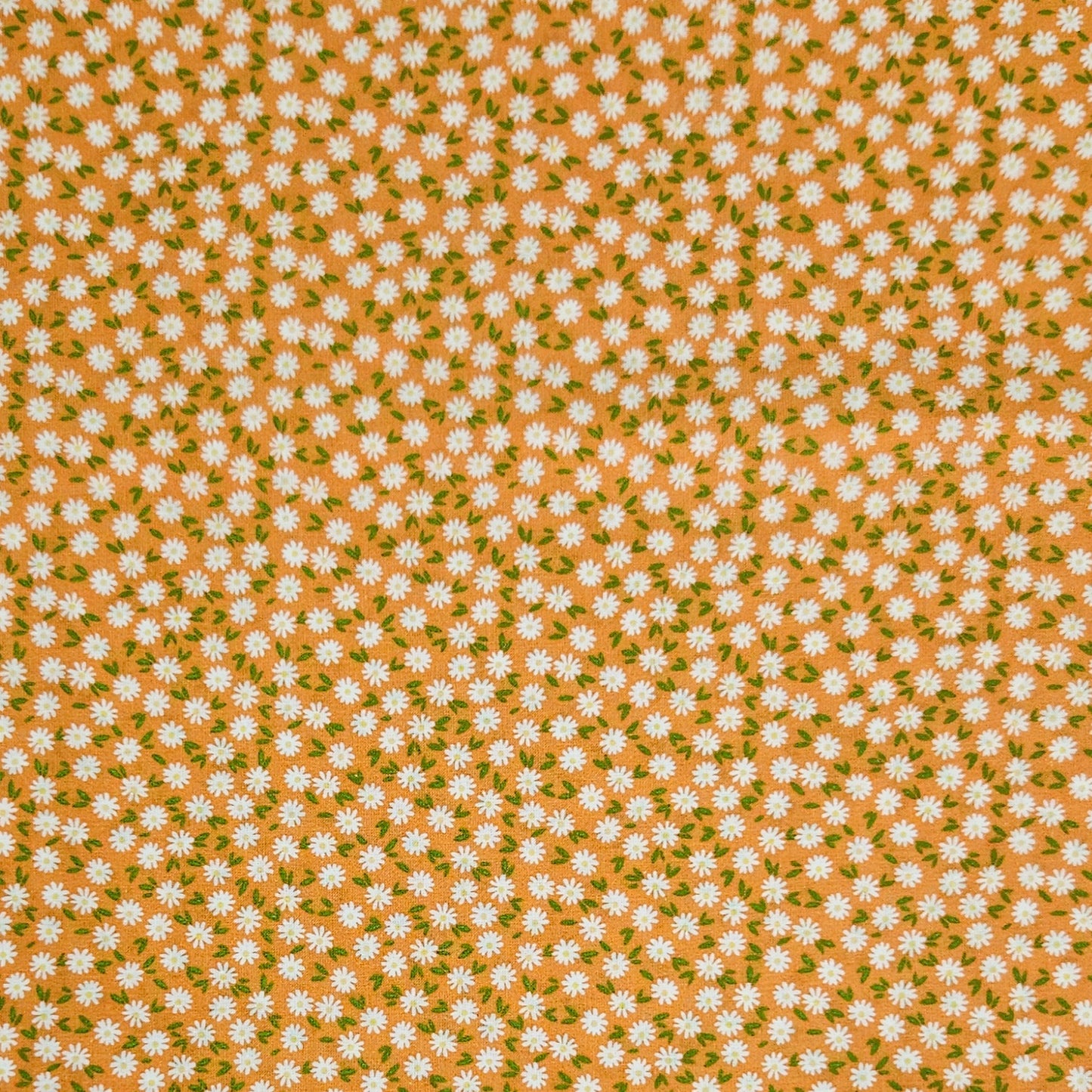 Ditsy Daisy - Orange