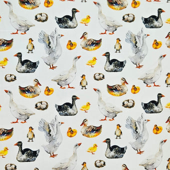 compare product Barnyard - Ducks