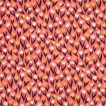 compare product Fairy Dust - Tulips on Coral