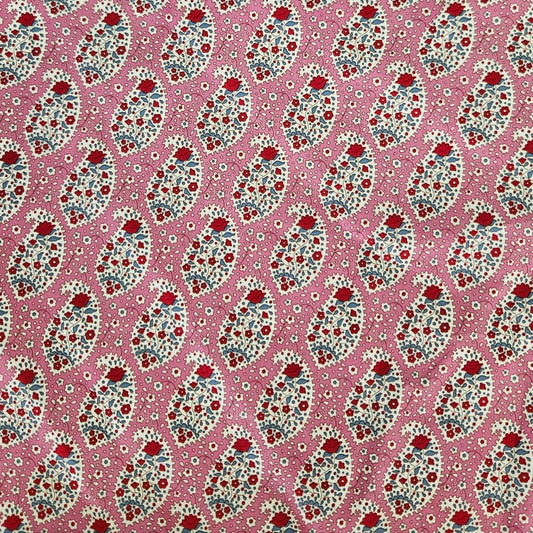 Floral Paisley on Pink
