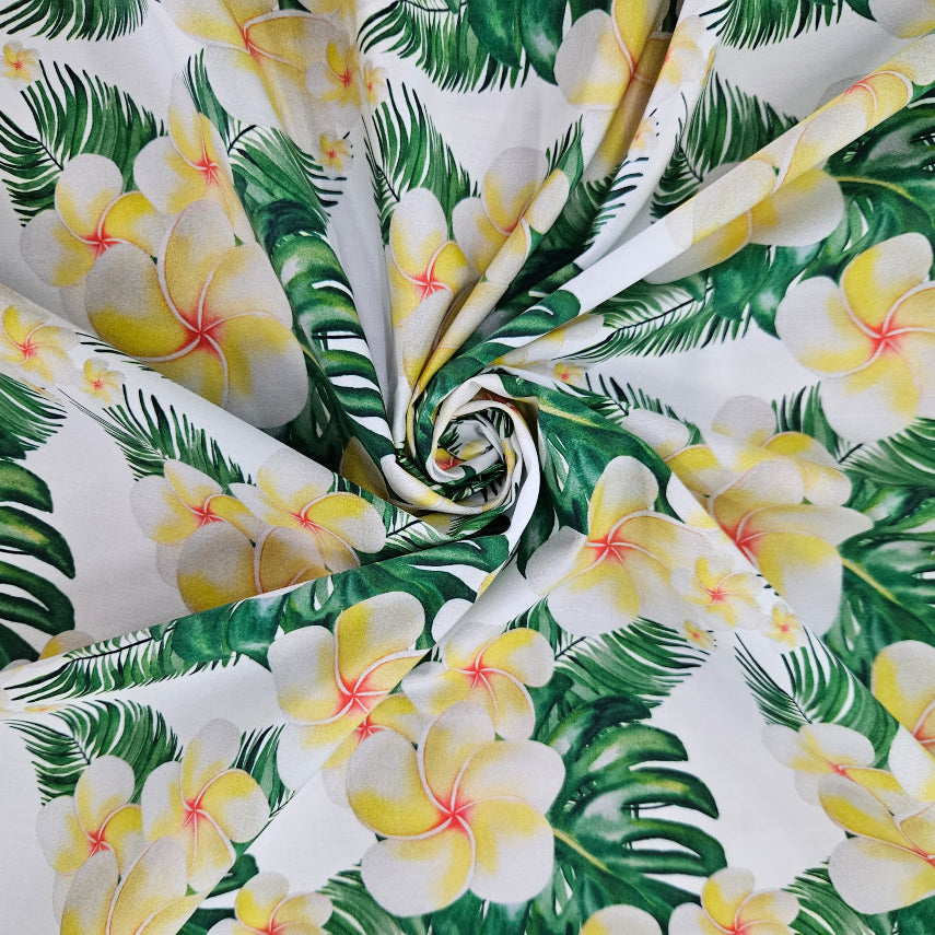Frangipani Hawaii
