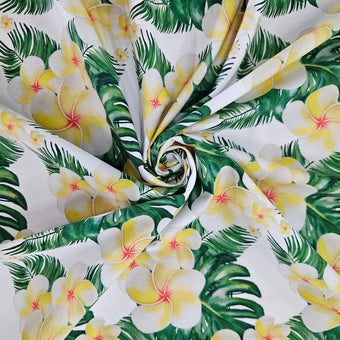 compare product Frangipani Hawaii