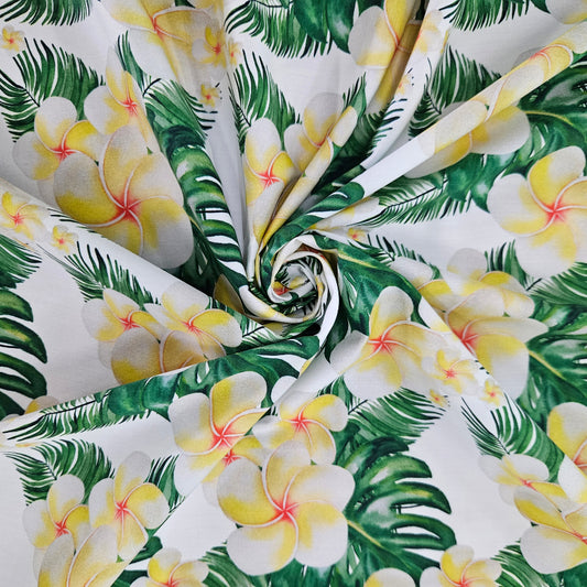 Frangipani Hawaii
