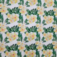 Frangipani Hawaii