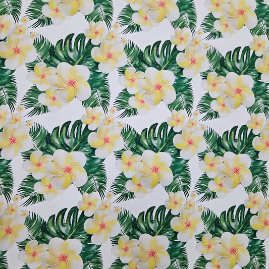 Frangipani Hawaii
