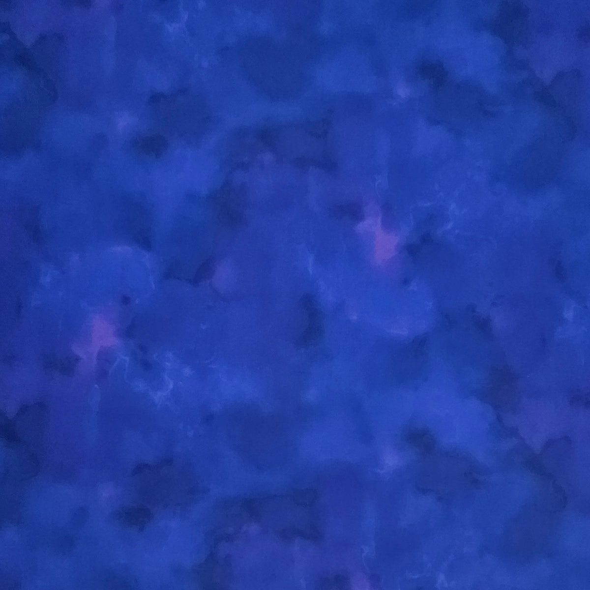 Garden Fresh - Blue Blender