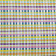 Gingham Multi Bright
