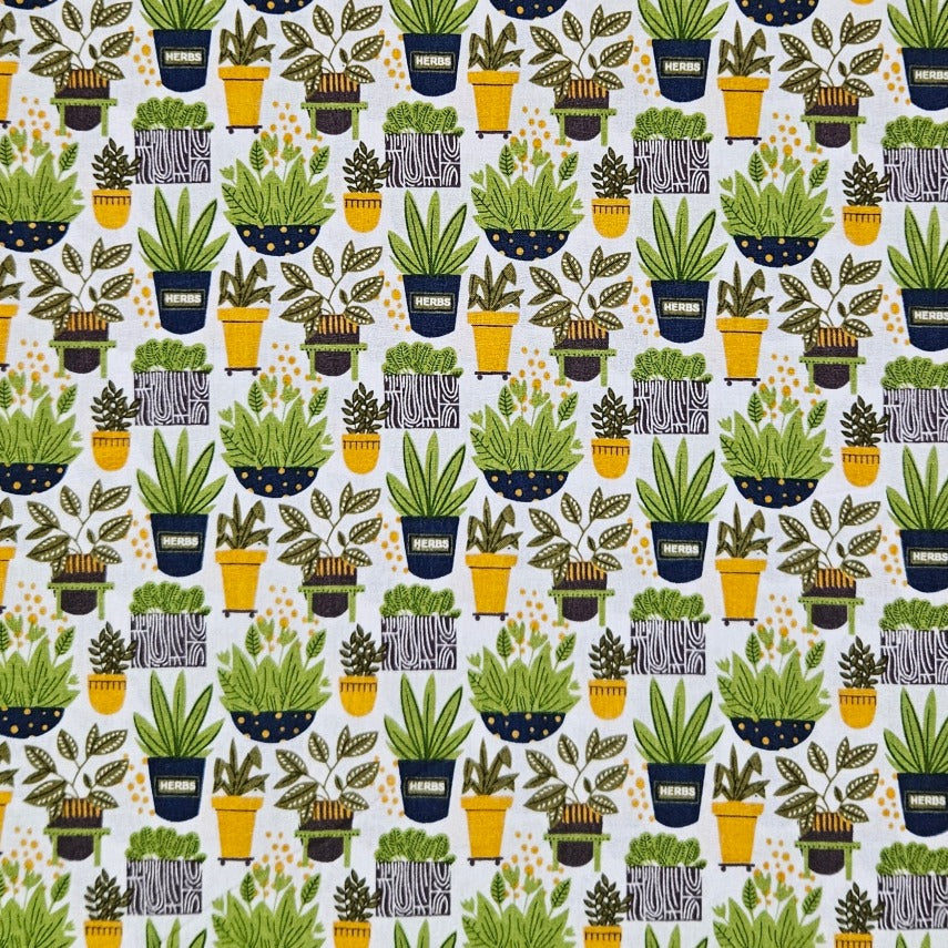 Into the Garden - Pots Plants