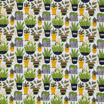 compare product Into the Garden - Pots Plants