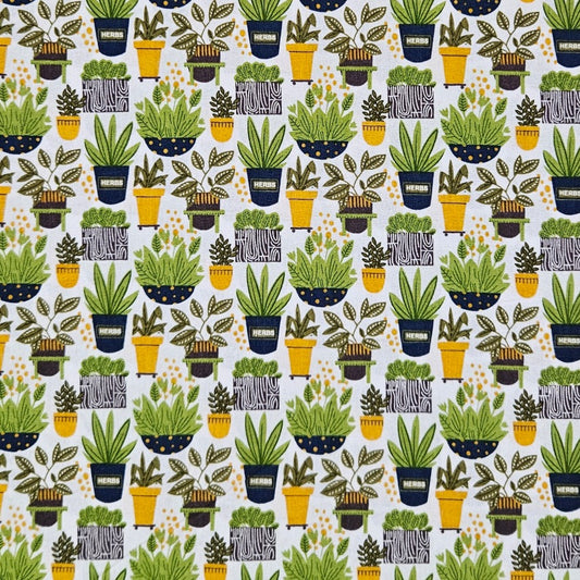 Into the Garden - Pots Plants