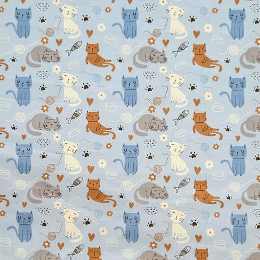 Kitties and Co - Light Blue