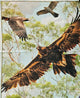 Craft Panel - Large Eagle