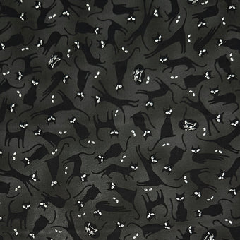 compare product Halloween Cats on Black