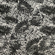 MODAL KNIT - Tropical in Black and Off White