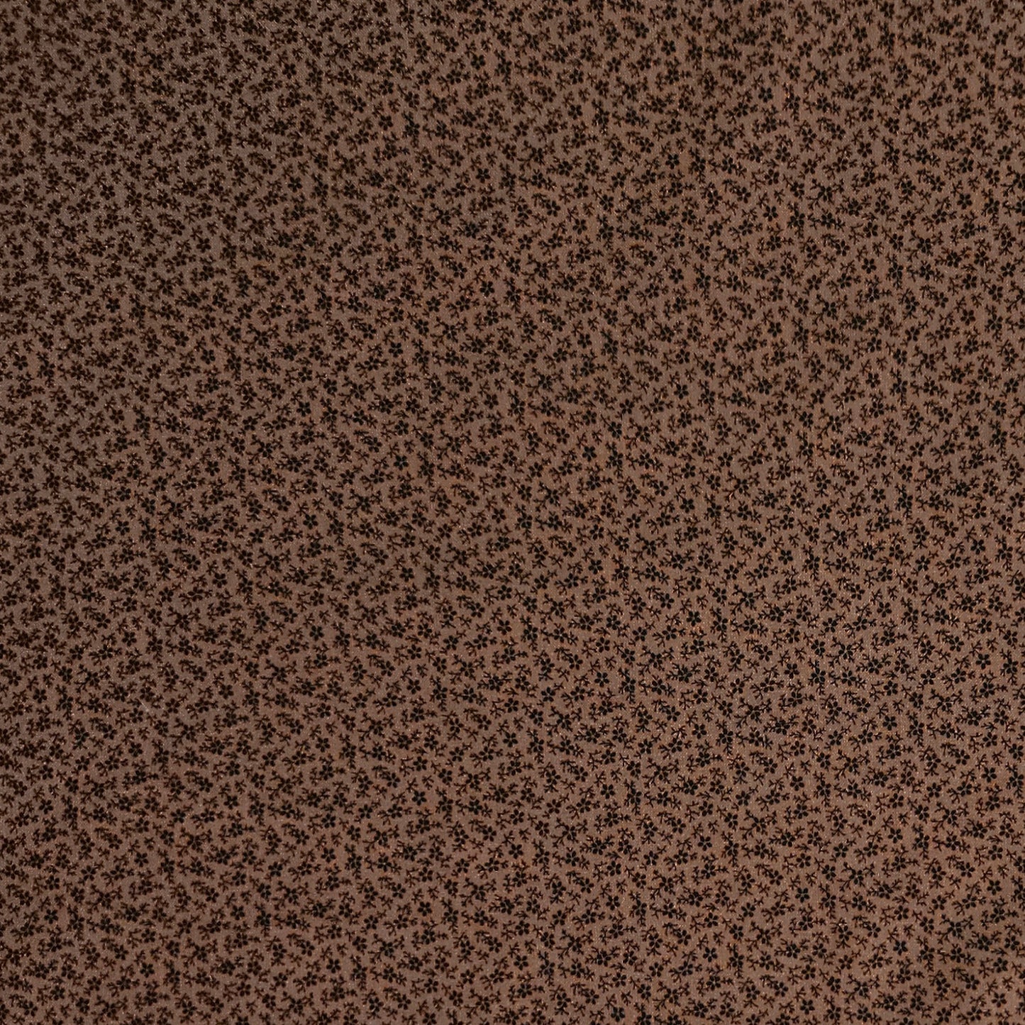 Cheddar and Coal - Creeper Vine