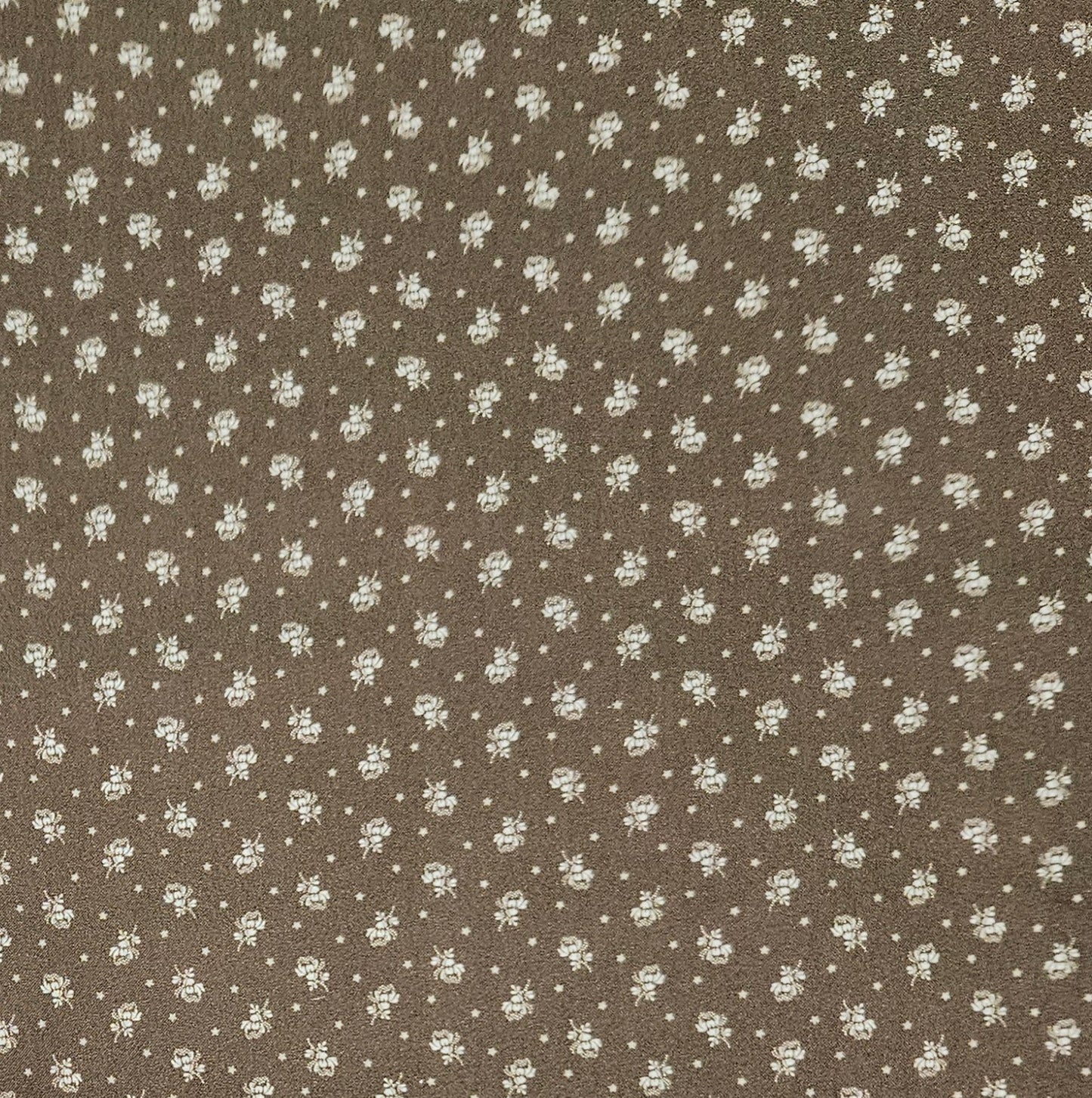 Ditzy Star