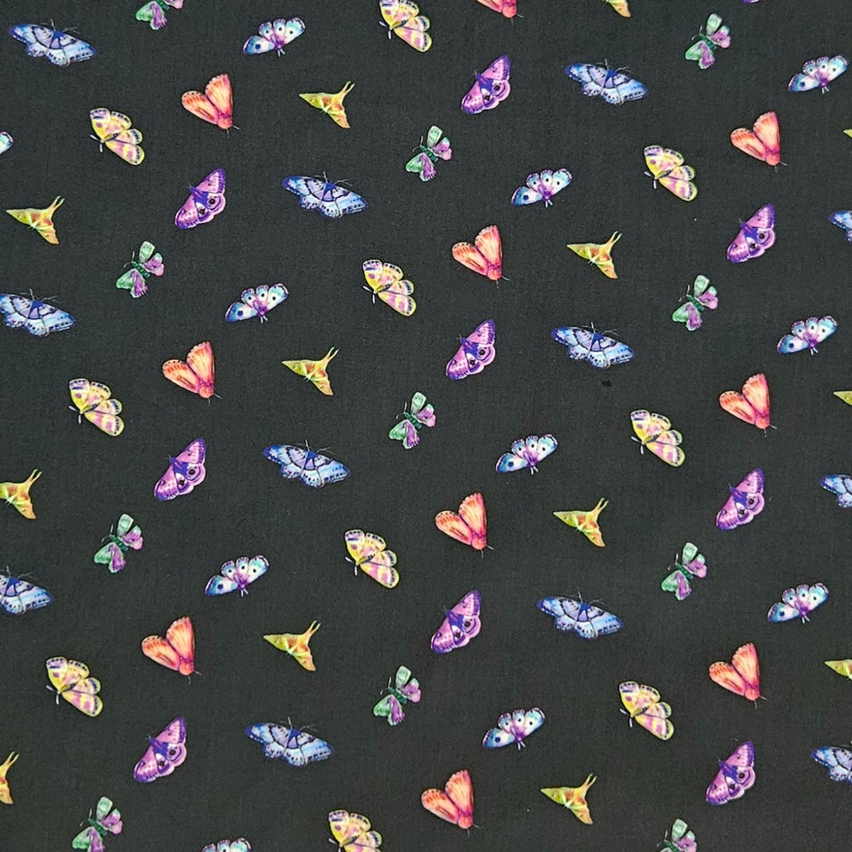 Midnight Dreams - Butterflies