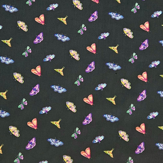 Midnight Dreams - Butterflies