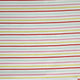 Multi Stripe - Bright