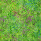 Batik - Turtles and Coral on Green