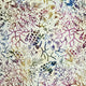 Batik - Turtles and Coral Multi on White