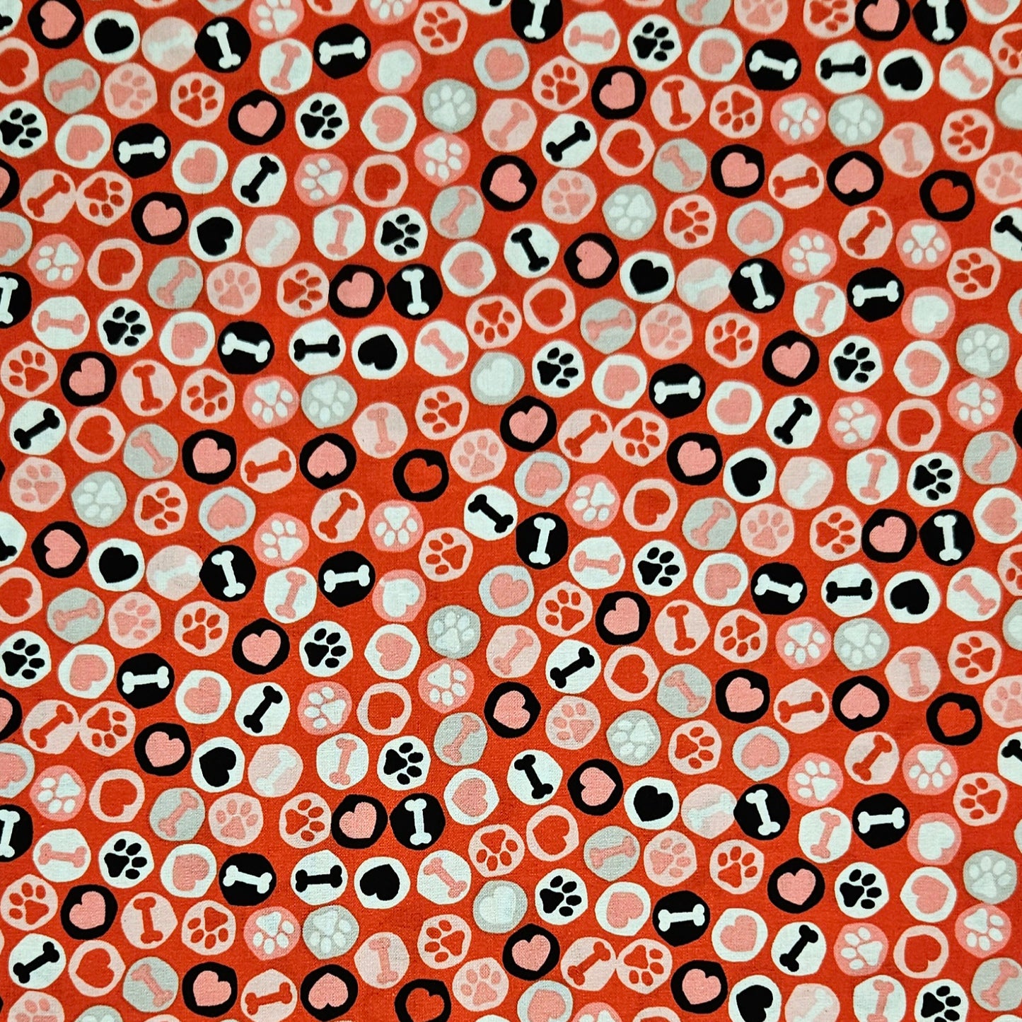 Paws and Bones in Circles