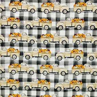 compare product Pumpkin Patch - Utes