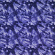 Purple Tie-Dye