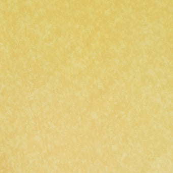 compare product Quilt Backing - Marle - Gold