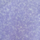 Quilt Backing - Marle - Light Purple