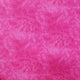 Quilt Backing - Vine - Dark Pink