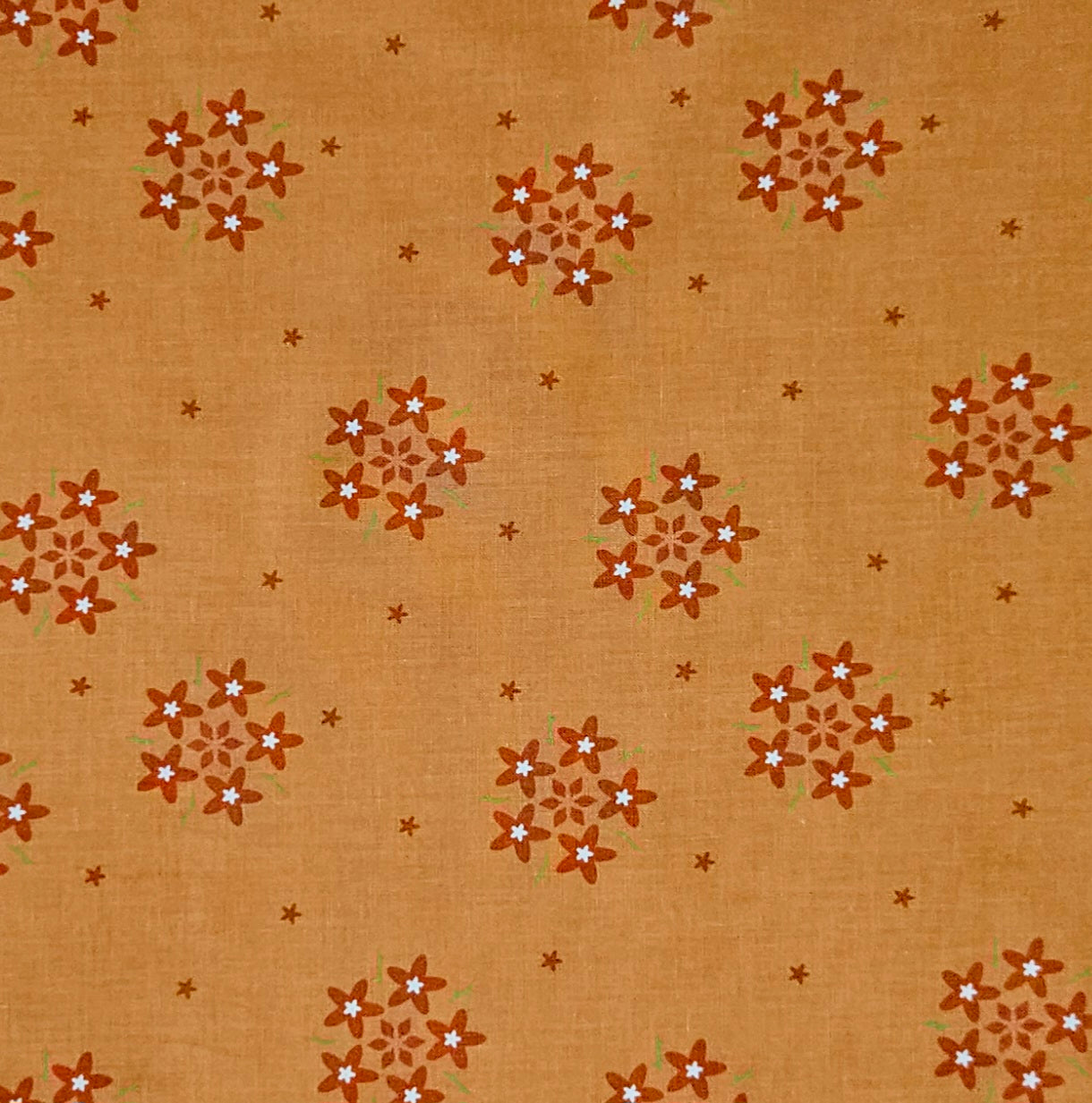 Bloom - Flower Stars