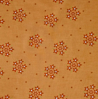 compare product Bloom - Flower Stars