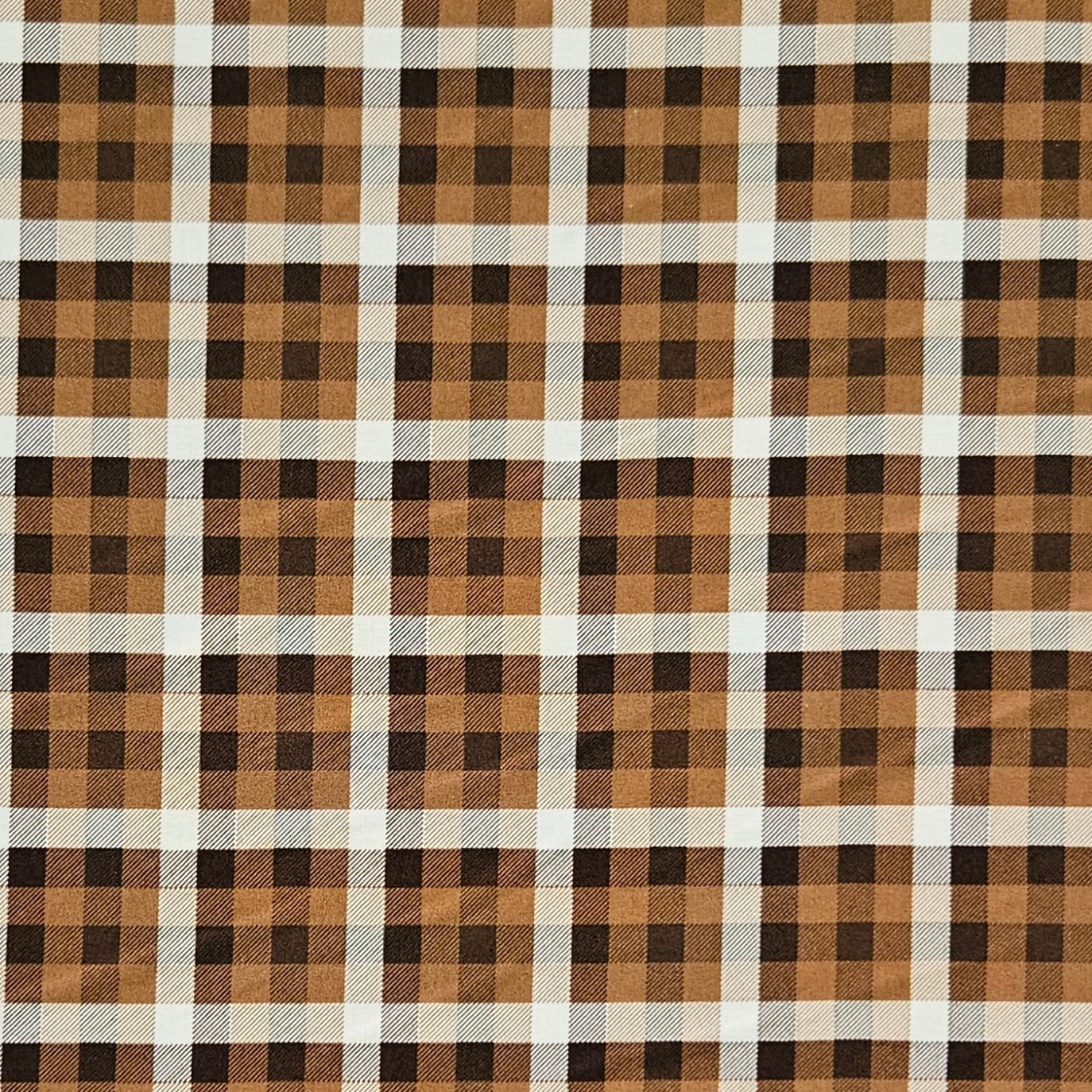 Fall's in Town - Plaid