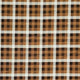 Fall's in Town - Plaid