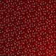 Red White and True - Florals