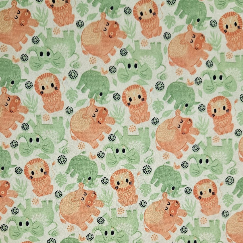 Safari - Safari Animals
