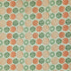 Safari - Safari Circles