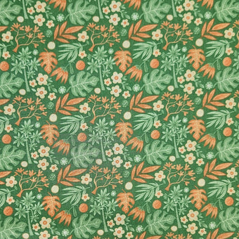 compare product Safari - Safari Plants