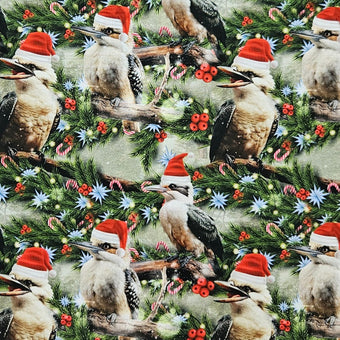 compare product Santa in Oz - Christmas Kookaburra