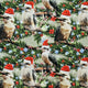 Santa in Oz - Christmas Kookaburra